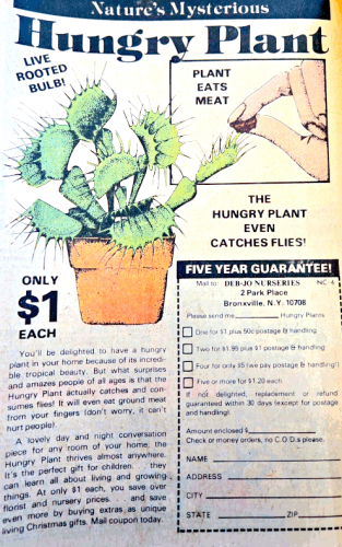 Hungry Plant - 1977